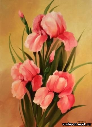 розовые ирисы - цветы - оригинал