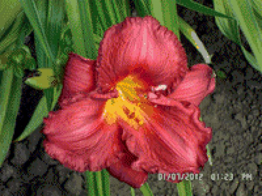 №493765 - предпросмотр