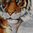 Предпросмотр схемы вышивки «тигры» (№493792)