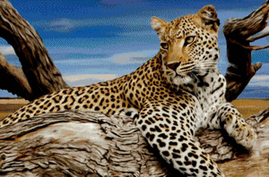 дикий красавец - дерево, леопард, живопись, хищник - предпросмотр