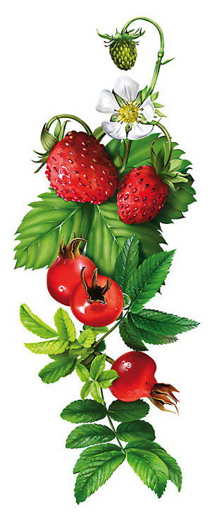ягодки - земляника, кухня, цветы, шиповник, природа - оригинал