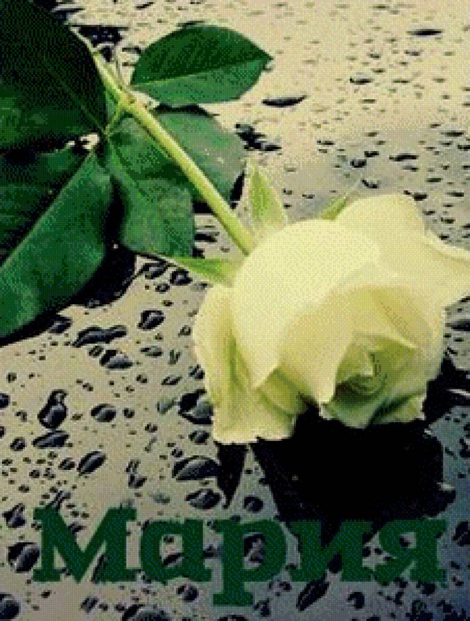 мария - имена - предпросмотр