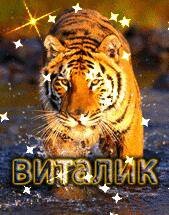 Оригинал схемы вышивки «виталик» (№493924)