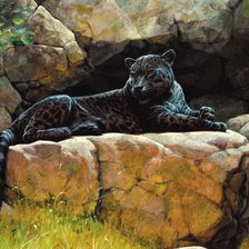 Схема вышивки «Пантера»