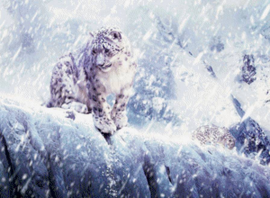 Ирбисы - дикие кошки, животные - предпросмотр