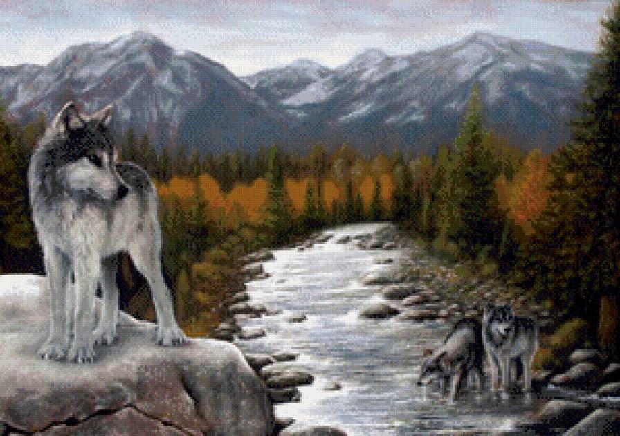 Волки - волки, животные - предпросмотр