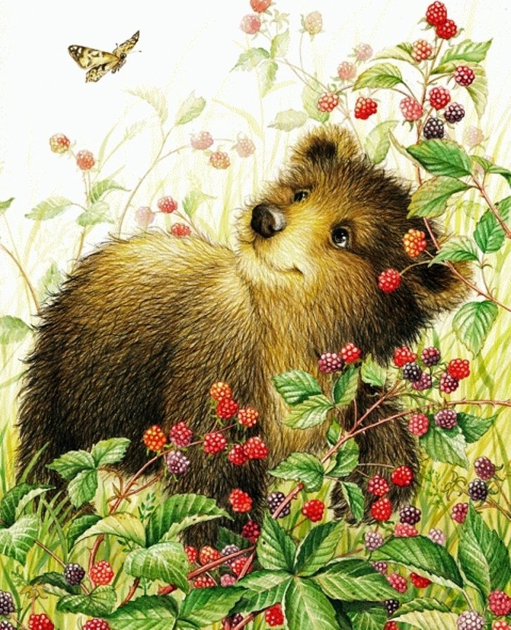 Медвежонок и малина - оригинал