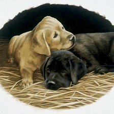 Схема вышивки «Собачки»