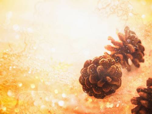 Панно. Шишки. - панно, шишки - оригинал