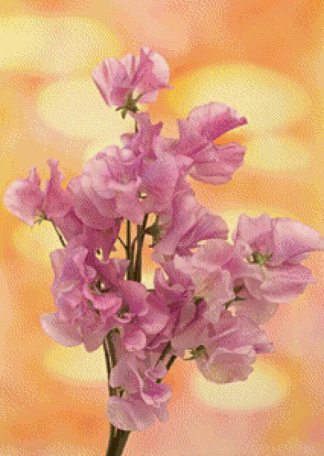 розовые цветы - цветы - предпросмотр