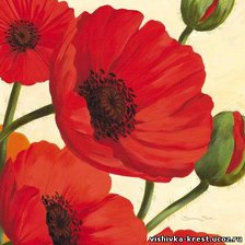 Схема вышивки «маки»