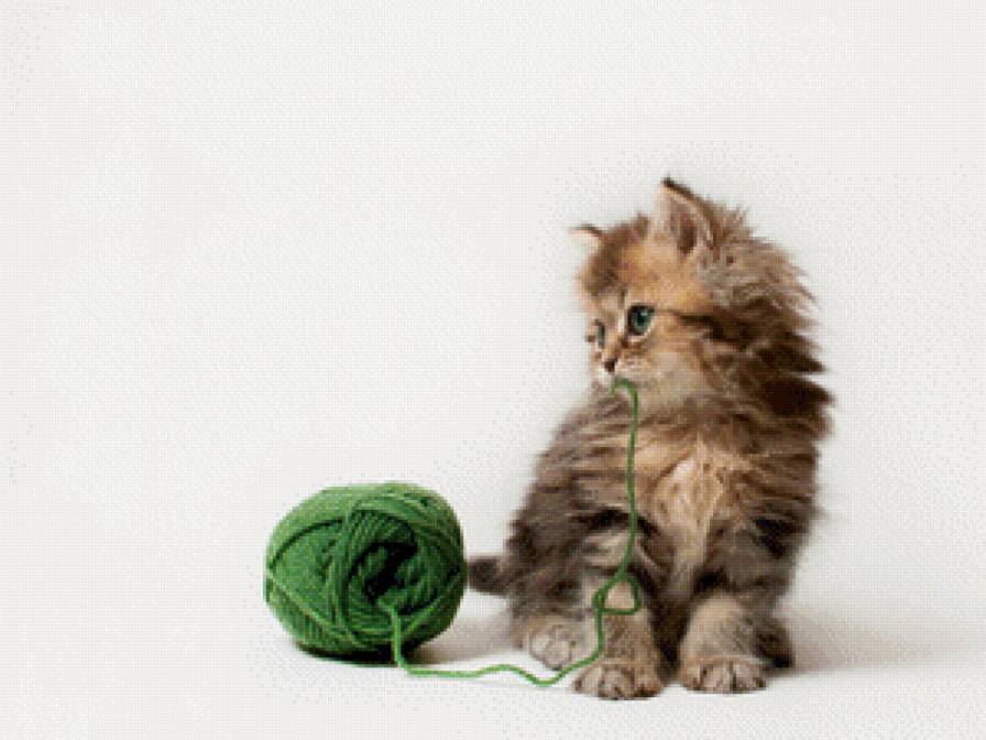 Котенок - моточек, кот, кошка, нитки - предпросмотр
