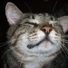 Схема вышивки «Коленька»