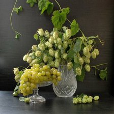 Схема вышивки «Хмель»