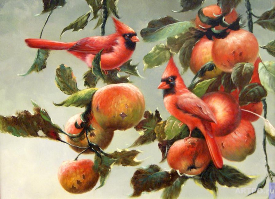 Серия "Птицы" - птицы, кардиналы, яблоки - оригинал