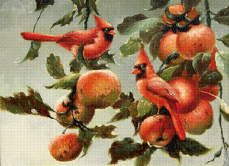 Серия "Птицы" - кардиналы, птицы, яблоки - предпросмотр