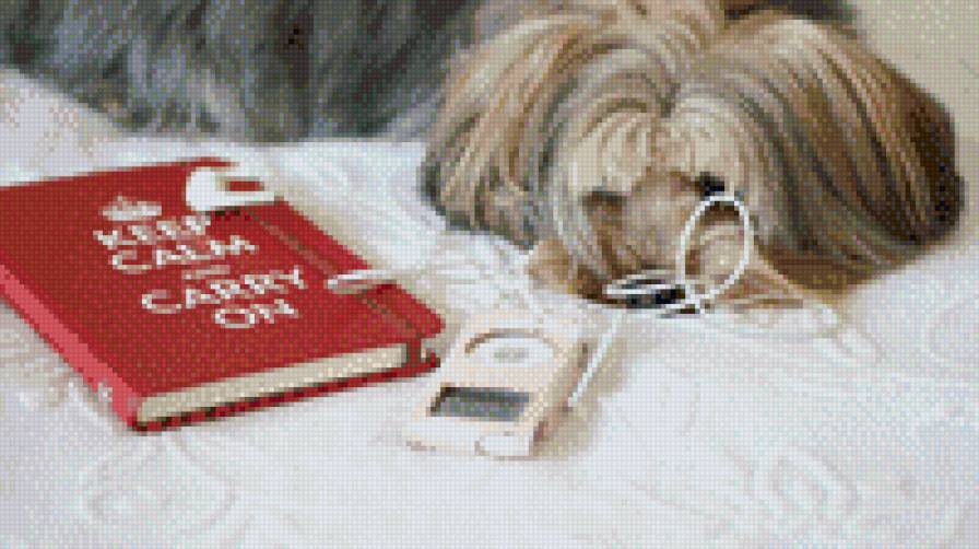 Музыка и собака - животные - предпросмотр