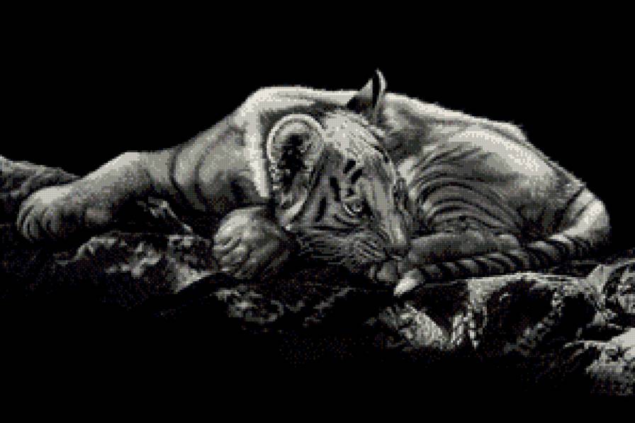 Тигренок - дикие кошки, животные - предпросмотр