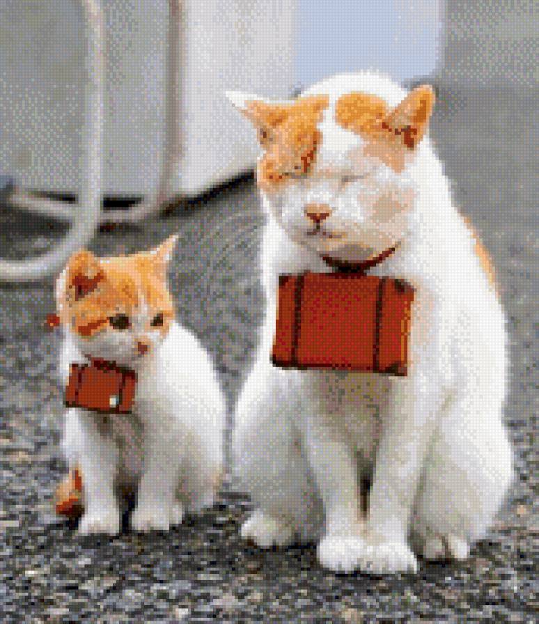 коты - животные - предпросмотр