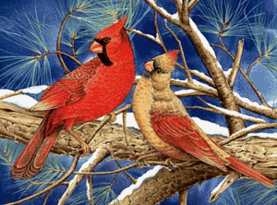 Зимние птички - птицы, кардиналы - предпросмотр