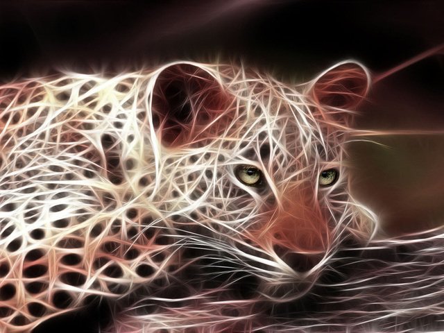 Леопард - леопард - оригинал