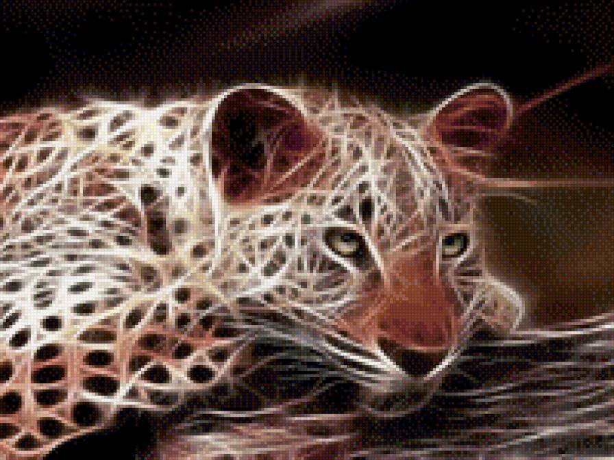 Леопард - леопард - предпросмотр