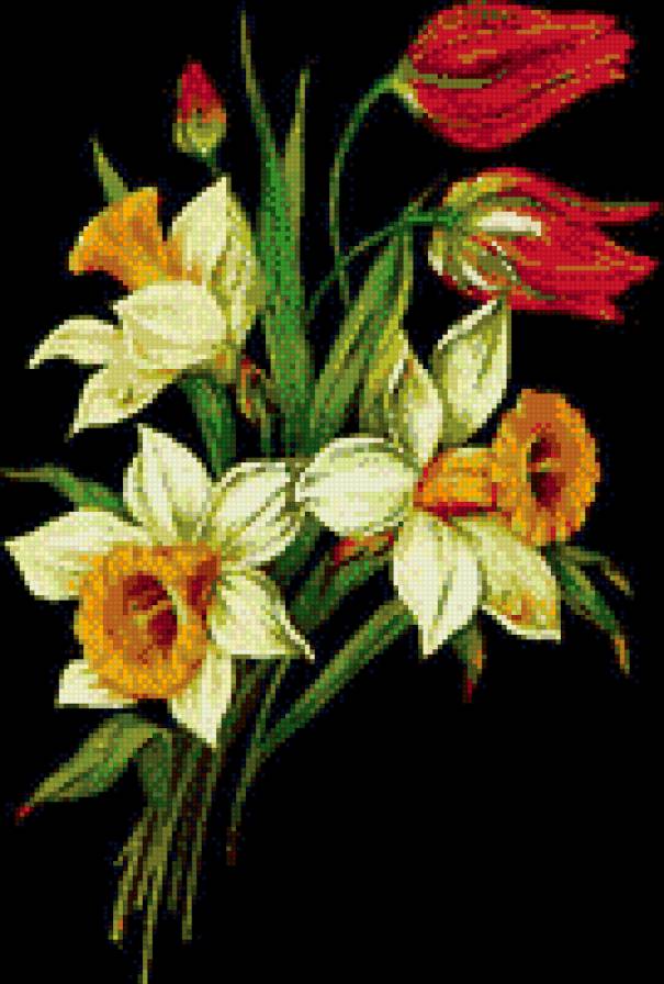 Нарциссы и тюльпаны - предпросмотр