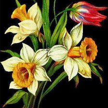 Схема вышивки «Нарциссы и тюльпаны»