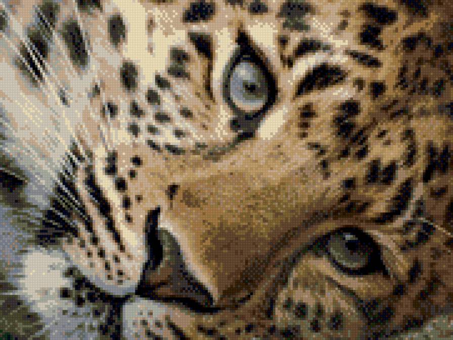 Леопардик - предпросмотр