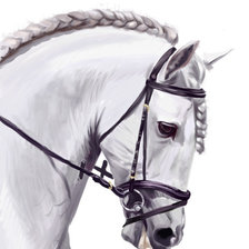 Оригинал схемы вышивки «белый конь 30» (№495106)