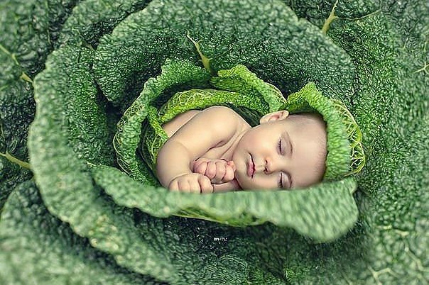 malish - оригинал