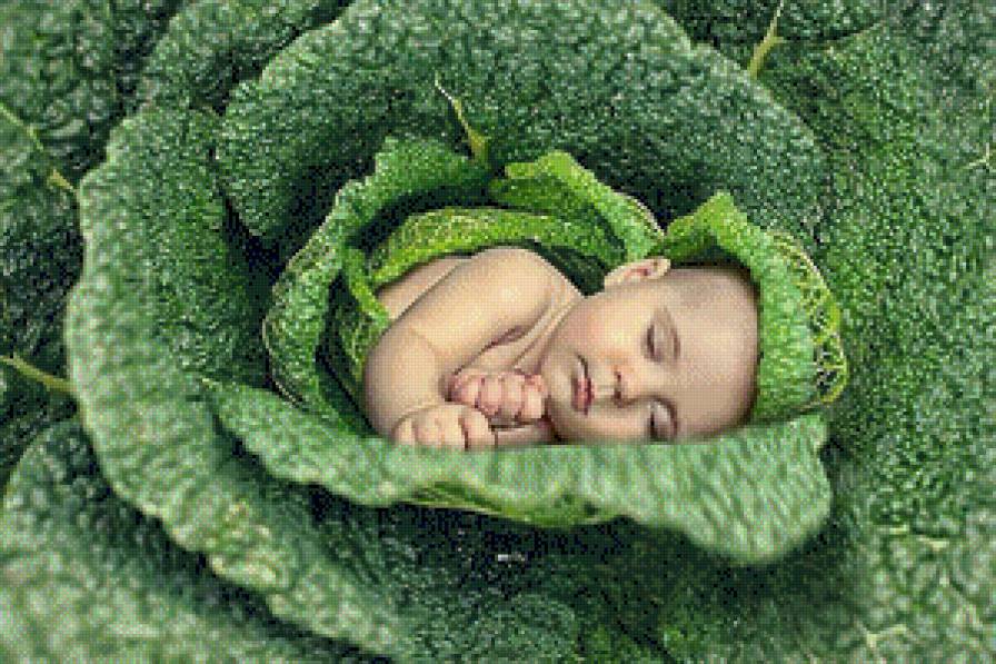 malish - предпросмотр