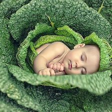 Схема вышивки «malish»