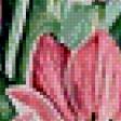 Предпросмотр схемы вышивки «тюльпаны» (№495633)