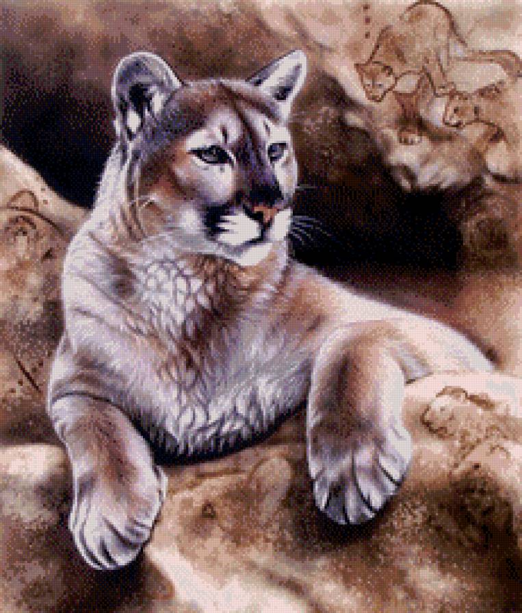 пума - рисунок, живопись, пещера, хищник - предпросмотр