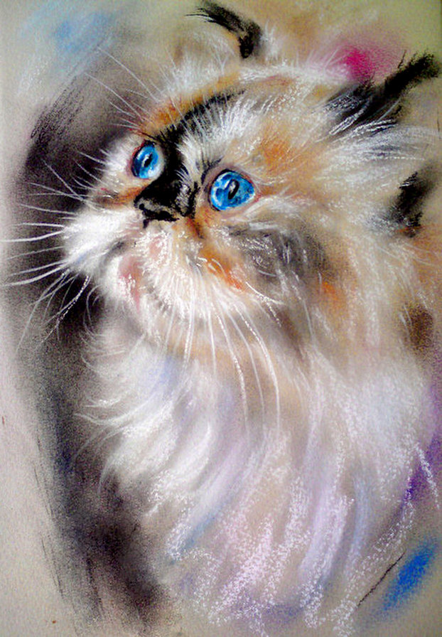 портрет мелками - перс, глаза, живопись, рисунок, кот.кошка - оригинал