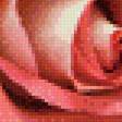 Предпросмотр схемы вышивки «Букет роз» (№495737)