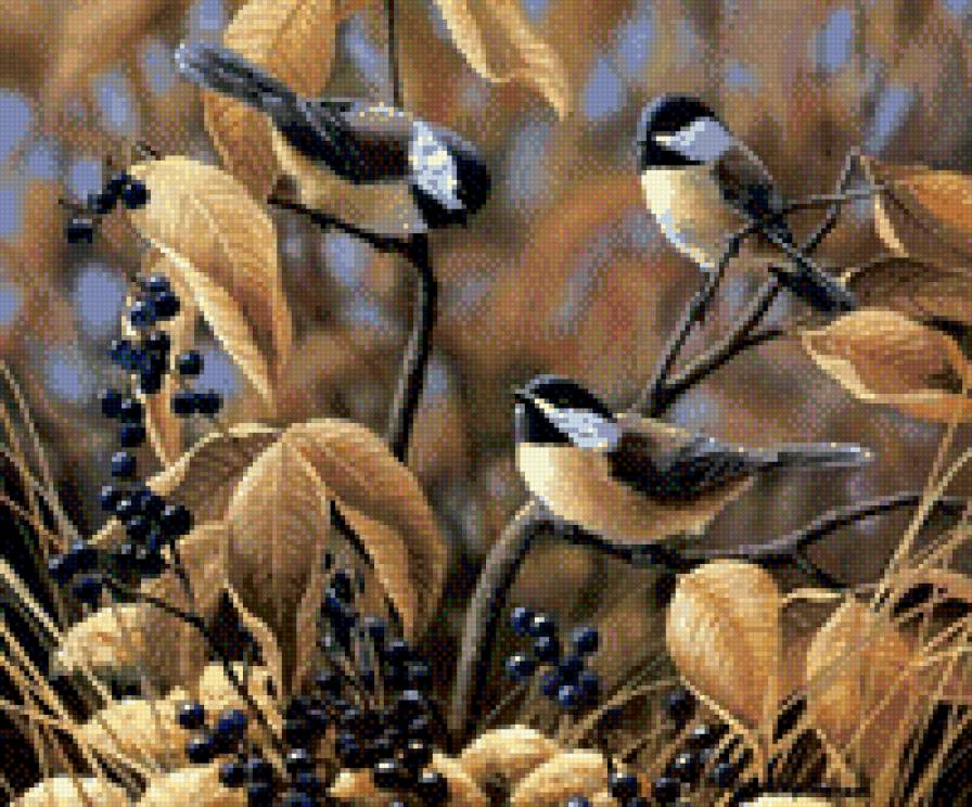 синицы - птицы, осень - предпросмотр