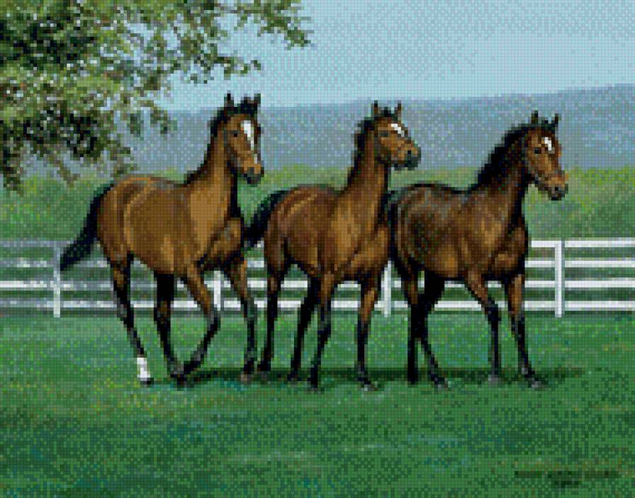 гнедые - картина, лошадь, природа, красота, кони, животные, лето - предпросмотр