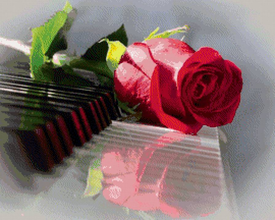 Роза на клавишах - клавиши, натюрморт, музыка, цветы, пианино, роза - предпросмотр
