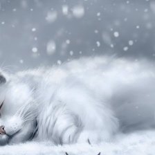 Схема вышивки «белый кот»