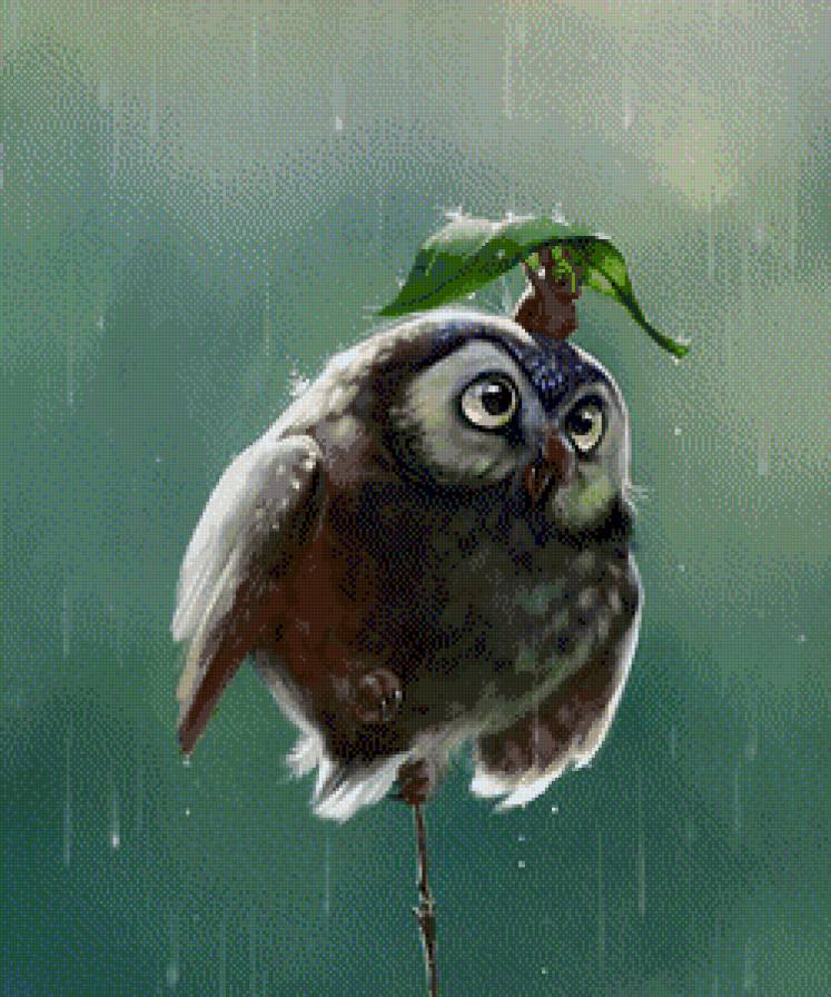 сова и мышка под дождём - сова - предпросмотр