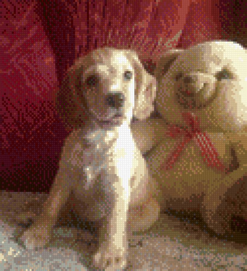 Щенок - животные - предпросмотр