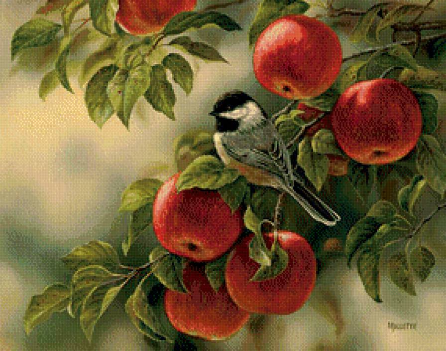 Яблоки - фрукты, живопись, яблоки, птица - предпросмотр