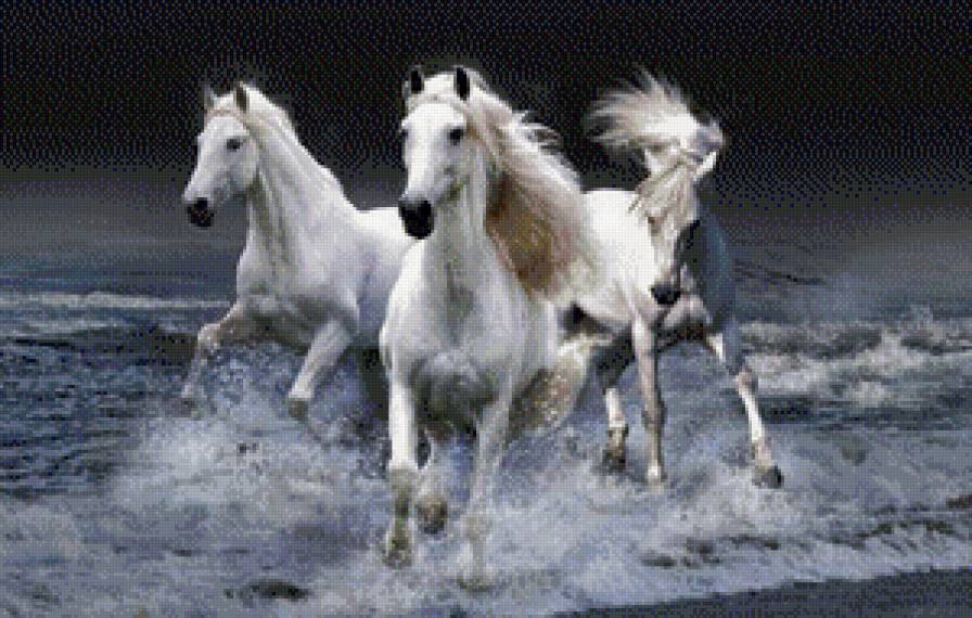 Лошади - лошади, животные - предпросмотр