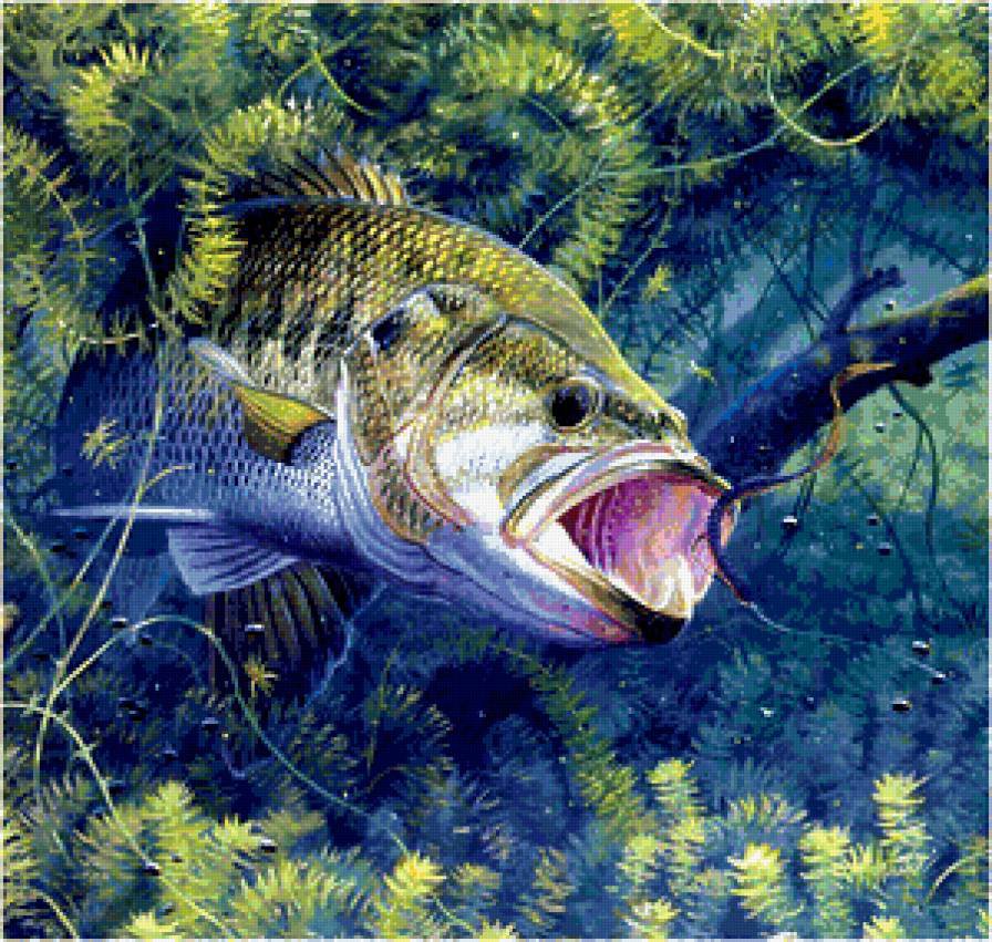 001 - рыбы - оригинал