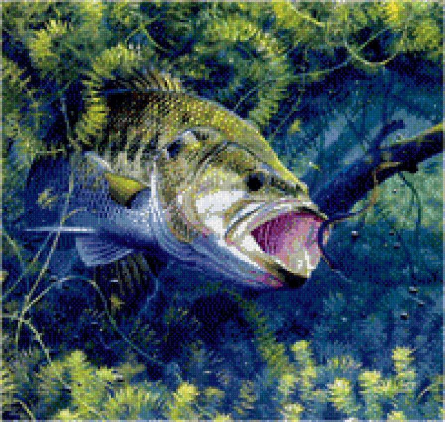 001 - рыбы - предпросмотр