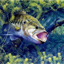 Схема вышивки «001»