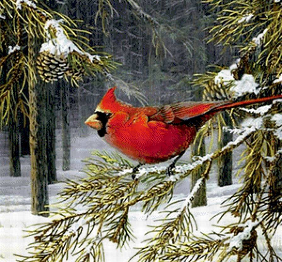 В зимнем лесу - зима, сосна, снег, птицы - предпросмотр