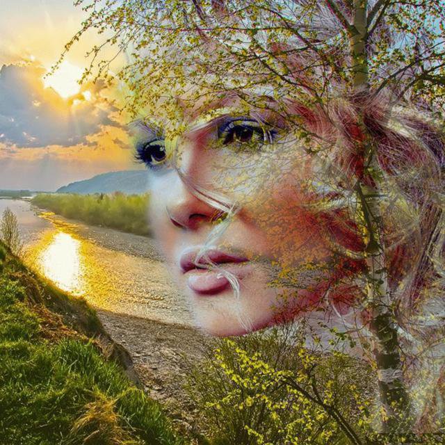 №496508 - оригинал